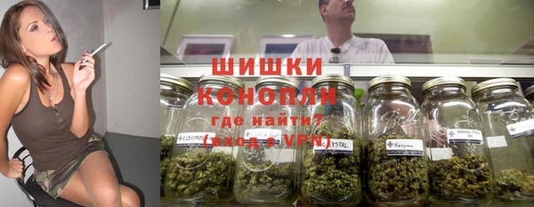 мяу мяу мука Алзамай