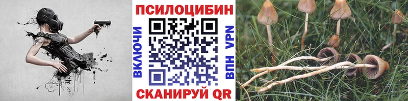 Псилоцибиновые грибы ЛСД  Балабаново 